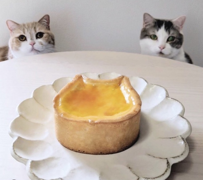 日本人氣「NEKO NEKO CHEESECAKE」來了