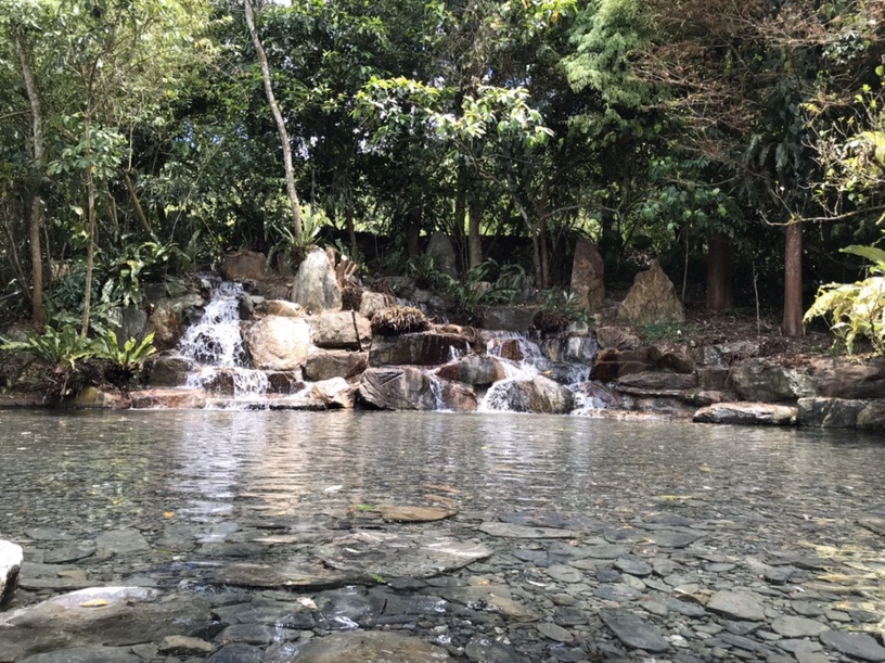 直接住進森林!宜蘭「紫森林旅宿」清水模住宿推薦