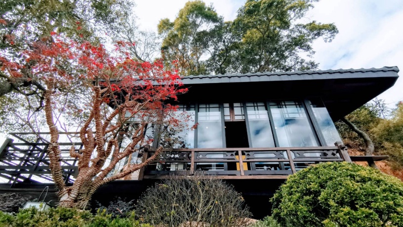 隱身竹林的禪風秘境!台中日式料亭「飛花落院」正式開幕,一探最美日落、無菜單美食