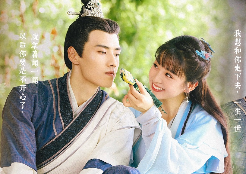 豆瓣高分「古裝甜寵陸劇」6:《我的寵物少將軍》豆瓣評分7.1