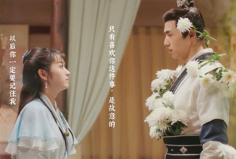 豆瓣高分「古裝甜寵陸劇」6:《我的寵物少將軍》豆瓣評分7.1