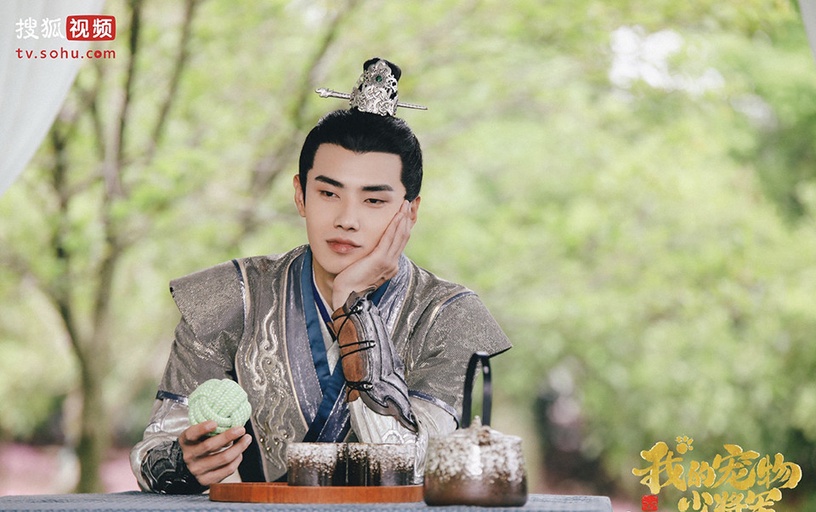 陸劇「寵物系」男主8:肖凱中《我的寵物少將軍》嬌氣喵星王子