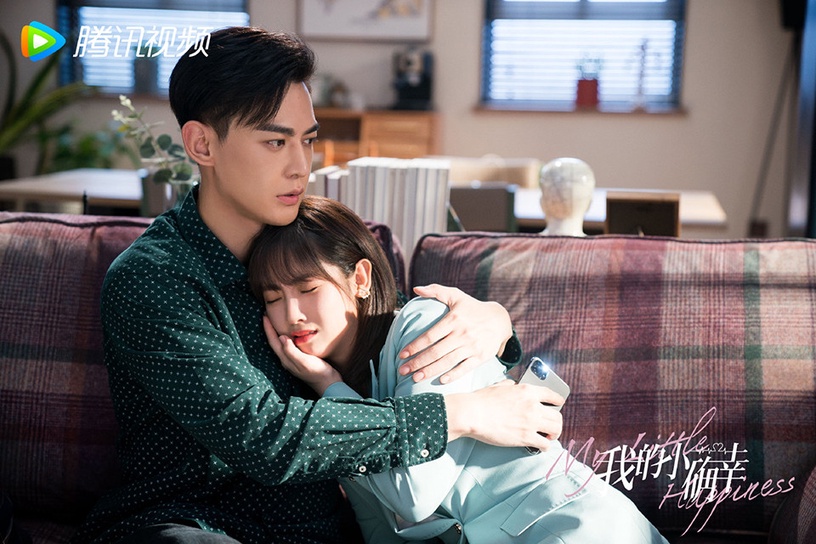 2021上半年「最佳小說改編」陸劇TOP 7:《我的小確幸》豆瓣評分6.8