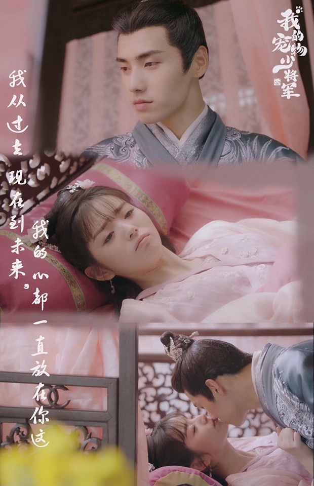 2021上半年古裝劇評分榜TOP 3:《我的寵物少將軍》豆瓣評分6.9