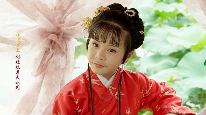 近五年「豆瓣最高評分古裝劇」排行榜TOP 1:《小戲骨:紅樓夢之劉姥姥進大觀園》豆瓣評分9.1