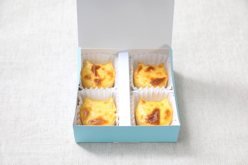 全家開賣「NEKO NEKO CHEESECAKE貓貓起司蛋糕」!折耳貓、波斯貓都萌,還送貓貓保冷袋