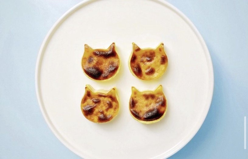 全家開賣「NEKO NEKO CHEESECAKE貓貓起司蛋糕」!折耳貓、波斯貓都萌,還送貓貓保冷袋