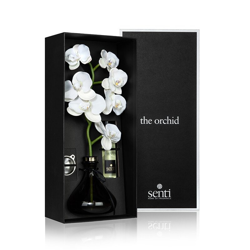 居家必備「造型擴香瓶」推薦:Cocod'or X BROWN&FRIENDS 造型系列擴香瓶,NT.359