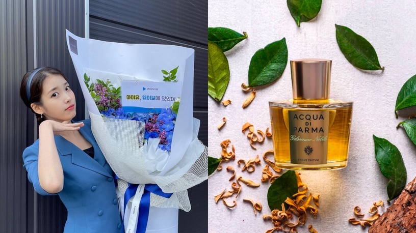 韓韶禧、秀智都愛這牌!10款韓國女星愛用香水大公開,Jo Malone、潘海利根也上榜