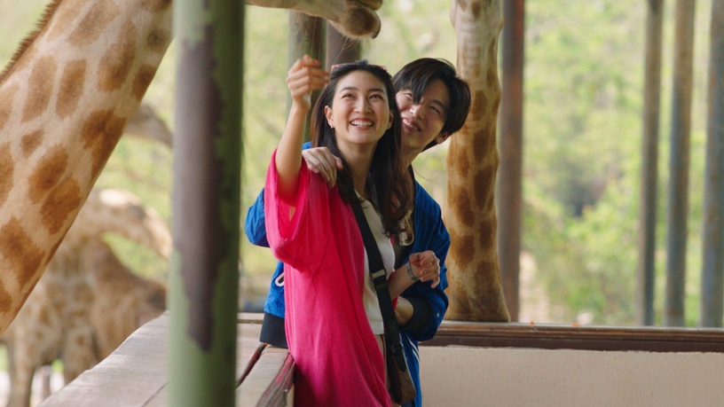 NETFLIX八月推薦片單!《當男人戀愛時》強檔上線,韓劇《海岸村恰恰恰》浪漫開播