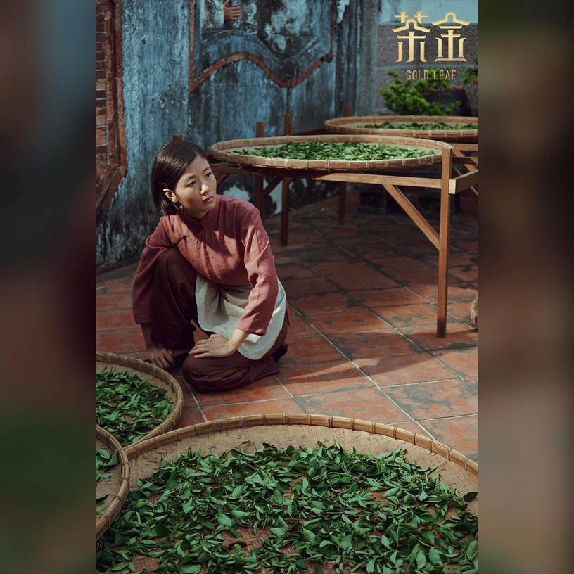 公視台劇《茶金》5大必追看點!溫昇豪、連俞涵茶業商戰,重返北埔50年代風華