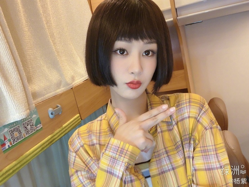 2021明星短髮/長髮範本4:楊紫