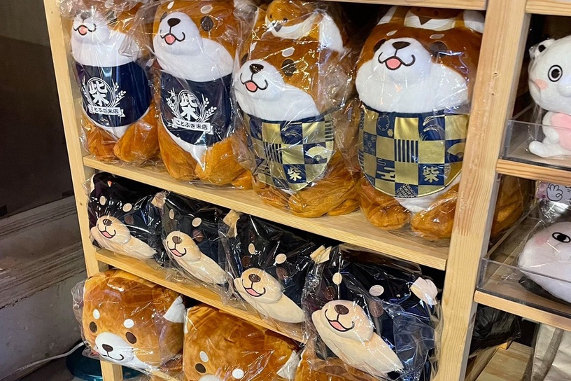 台北快閃店推薦4:忠犬麻糬柴犬 丸福商店街