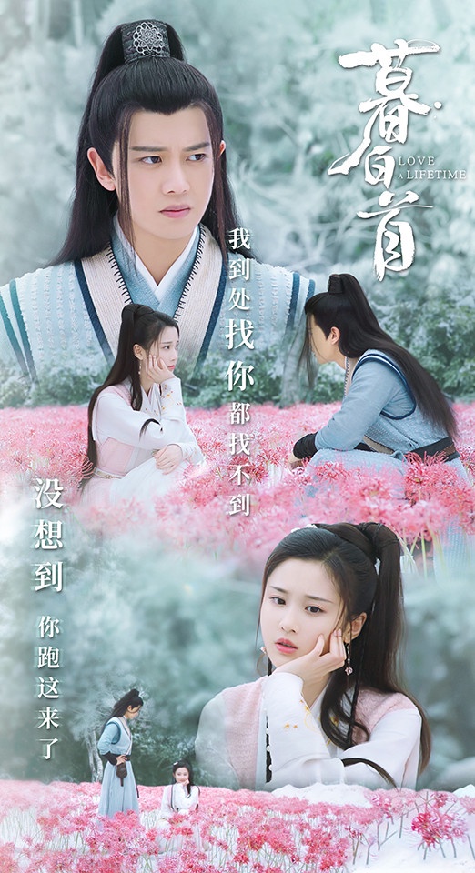 任嘉倫合作的陸劇女神CP感5:張慧雯《暮白首》