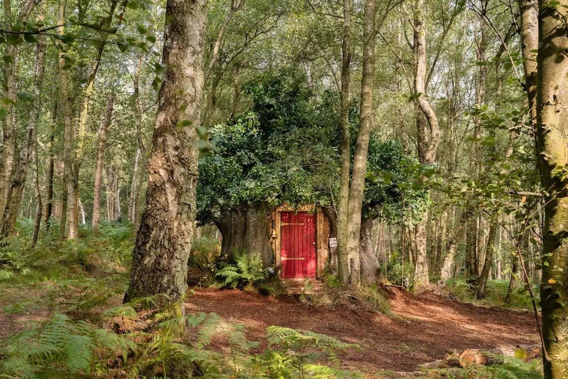 歡慶小熊維尼95週年！迪士尼 x Airbnb打造小熊維尼「Bearbnb」樹屋