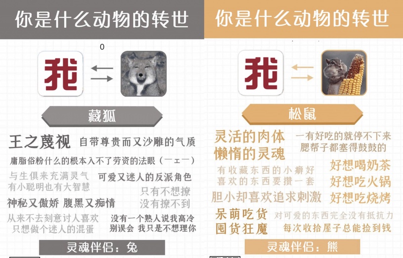 你的前世是什麼動物?陸網爆紅心理測驗!4題測出你的性格、喜好,以及靈魂伴侶!