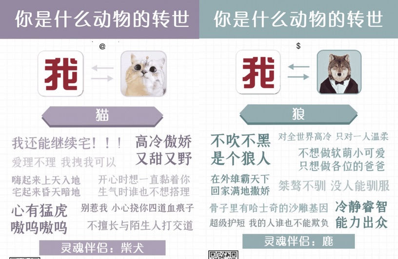 你的前世是什麼動物?陸網爆紅心理測驗!4題測出你的性格、喜好,以及靈魂伴侶!