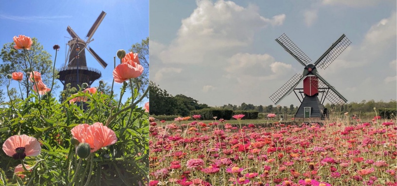 台灣10個絕美秘境Part2!美國大峽谷、日本奈良、北海道,這些美景台灣通通有!