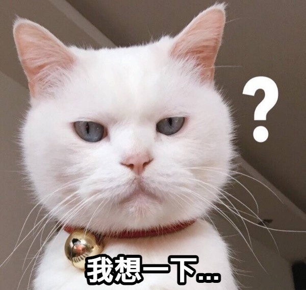 12星座最愛口頭禪公開!射手表示「煩死了」、牡羊句點愛用這句,金牛口頭禪太真實