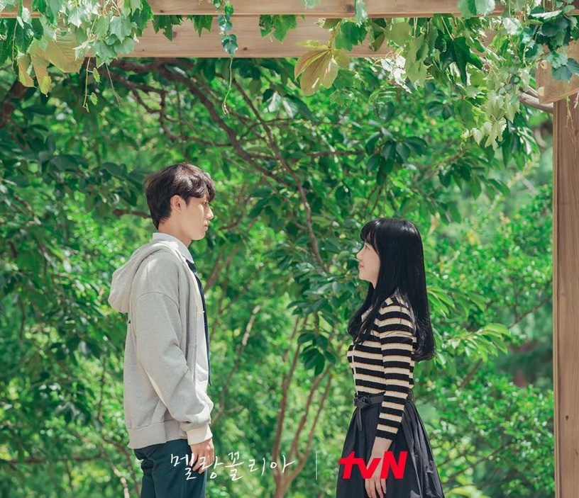 熱播韓劇評價!《衣袖紅鑲邊》口碑贏《現正分手中》,澤演洗脫《文森佐》爛演技罵名?
