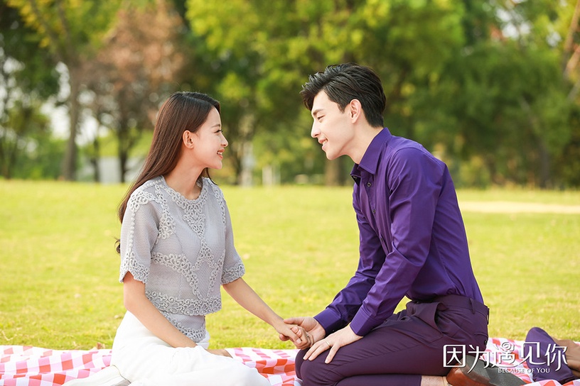 愛奇藝近五年「最高熱度值」甜寵陸劇TOP 8:《因為遇見你》熱度值8135