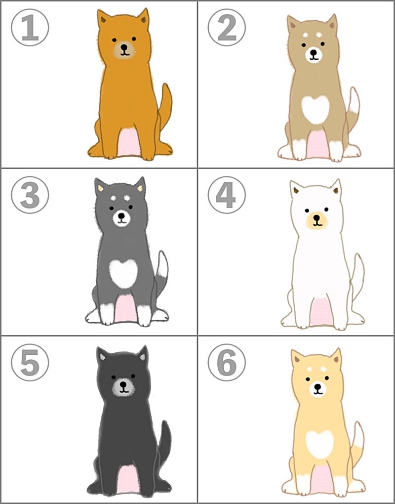 喜歡的人是怎麼看我的?超準圖片心理測驗,選擇柴犬圖案、測出你在好感對象眼中的形象