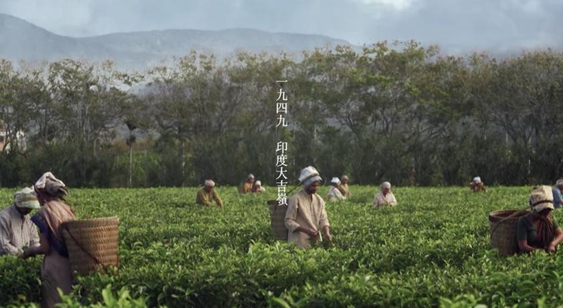 《茶金》拍攝場景:二結穀倉(農會)
