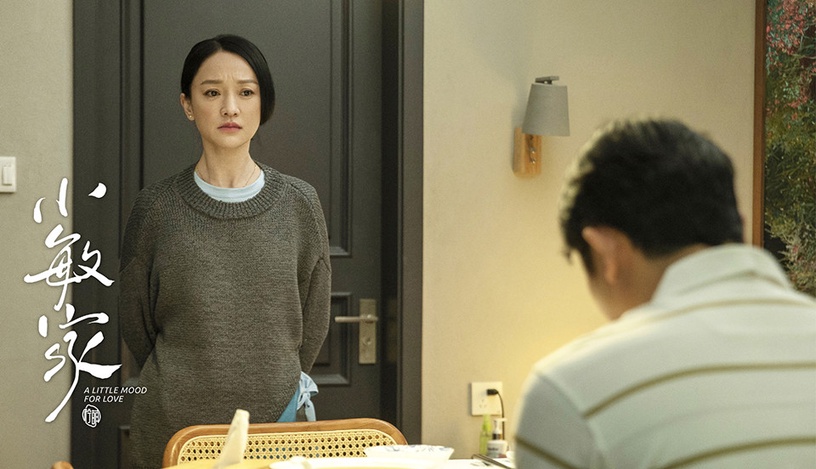 熱播陸劇「角色指數榜」TOP 5:周迅 飾演《小敏家》劉小敏