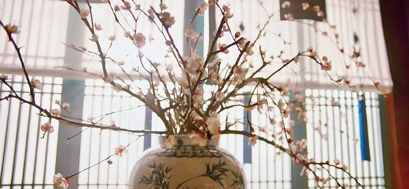 《衣袖》7個劇情隱喻!「紅衣袖」指德任的心,袖子沾濕&遮住有玄機,「梅花」隱喻最絕