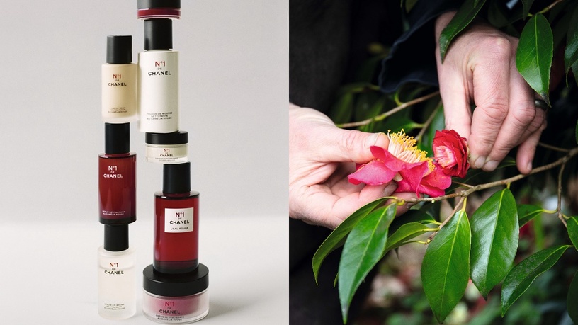 香奈兒「1號紅色山茶花」重磅登場!絕美新香紅色之水、山茶花粉底妝感美到捨不得卸