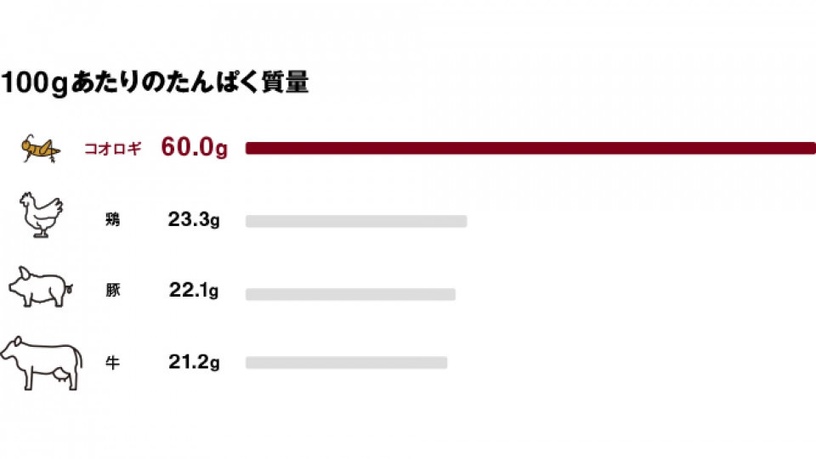 無印良品新推出「蟋蟀巧克力棒」!蛋白質含量高出一般巧克力棒三倍,營養又環保!