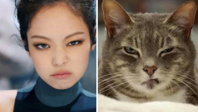 像動物的韓星!《社內相親》安孝燮像始祖鳥?孔劉像恐龍,「撞臉劉在錫的狗狗」最難忘