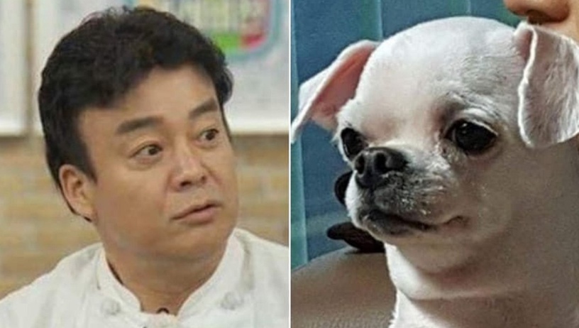 像動物的韓星!《社內相親》安孝燮像始祖鳥?孔劉像恐龍,「撞臉劉在錫的狗狗」最難忘