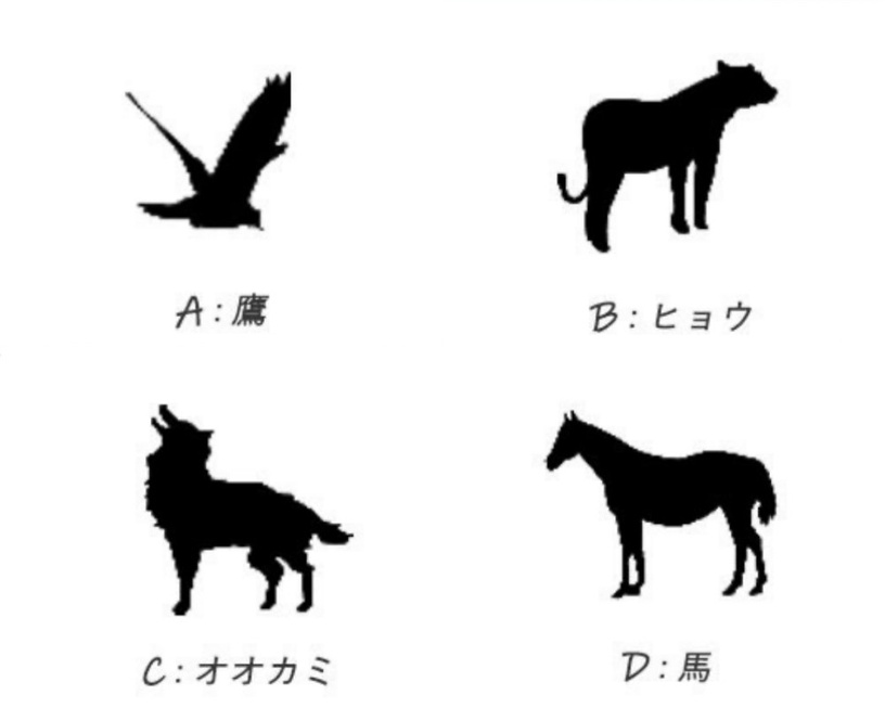 你內在性格有多龜毛?超神準心理測驗,選擇結伴動物、測出你內在纖細&敏感程度有多高