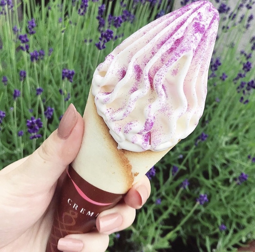 Cremia冰淇淋台灣賣到翻!日本Cremia口味:巧克力、抹茶皆人氣,還有金箔&薰衣草!