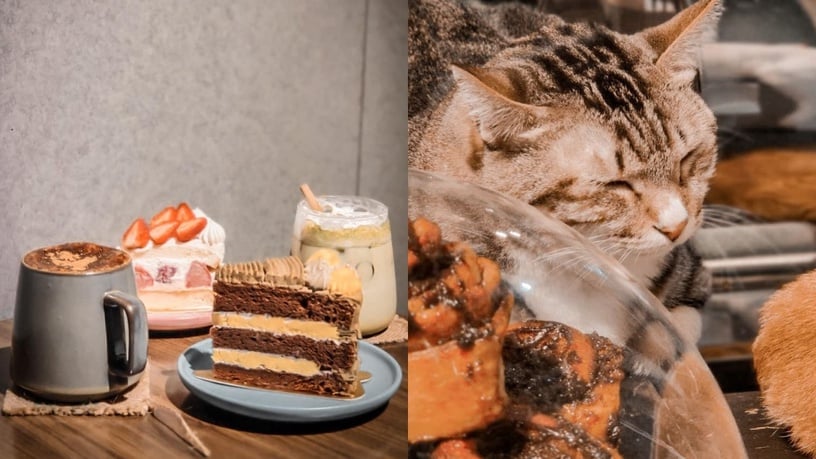 台北貓咪咖啡廳推薦1：貓嘰咕自家烘焙咖啡