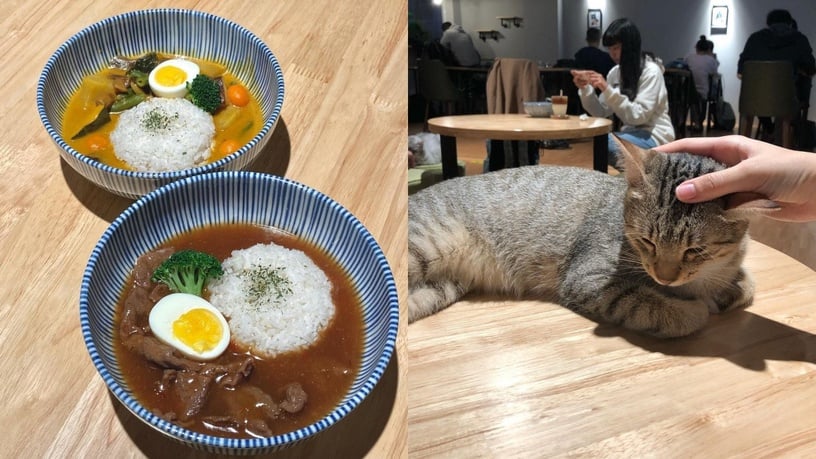 台北貓咪咖啡廳推薦6:貓食光