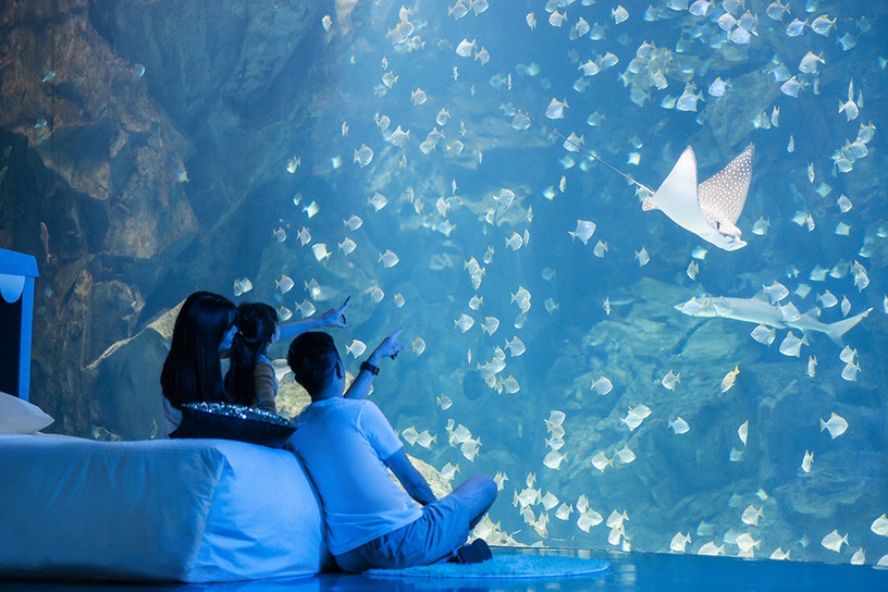 夜宿Xpark!桃園和逸、Xpark「Blu Night宿海奇遇」五星級標準住宿,這天開放預約