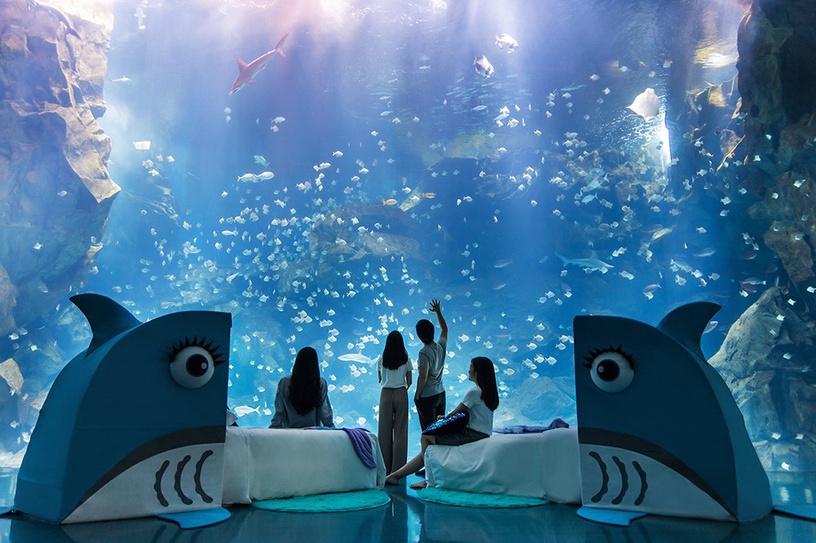 夜宿Xpark!桃園和逸、Xpark「Blu Night宿海奇遇」五星級標準住宿,這天開放預約
