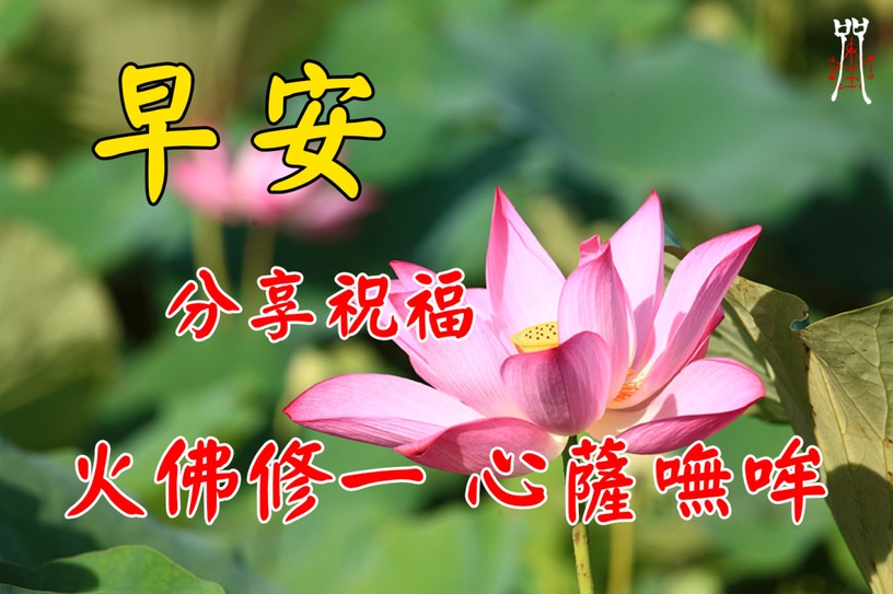 影史最恐怖國片!《咒》五大看點,改編真實事件「餵糞喝尿」超邪門,沒有鬼卻嚇爆全場