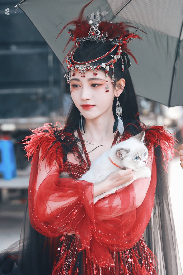 2022古裝仙俠劇女主造型5:鞠婧禕 飾演《花戎》魏枝/鳳凰