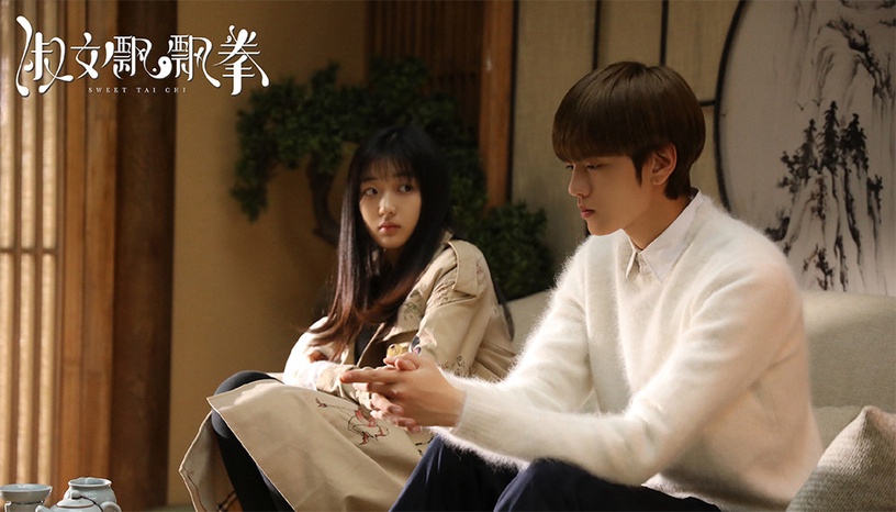 改編陸劇「最衰小說作者」4:天衣有風《鳳囚凰》《淑女飄飄拳》大崩盤