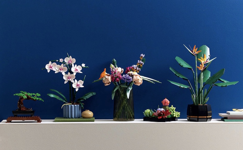 植物也能用拼的!LEGO推出「多肉植物、蘭花、向日葵」樂高組,質感滿分超療癒!