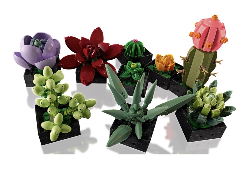 植物也能用拼的!LEGO推出「多肉植物、蘭花、向日葵」樂高組,質感滿分超療癒!