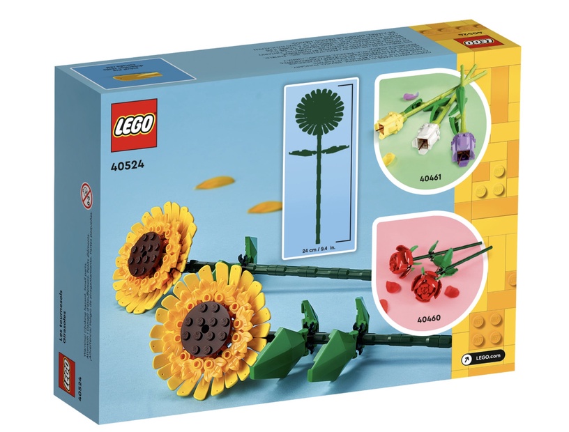 植物也能用拼的!LEGO推出「多肉植物、蘭花、向日葵」樂高組,質感滿分超療癒!