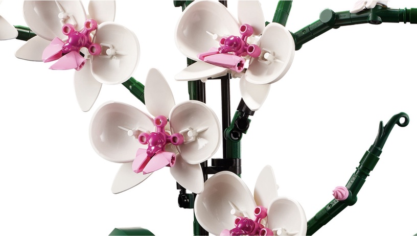 植物也能用拼的!LEGO推出「多肉植物、蘭花、向日葵」樂高組,質感滿分超療癒!