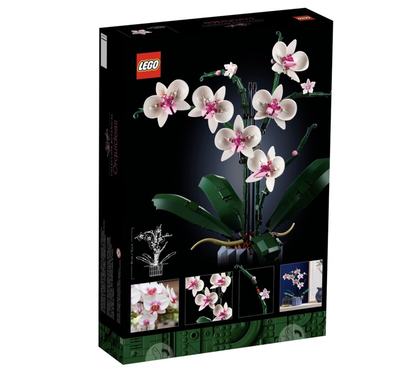 植物也能用拼的!LEGO推出「多肉植物、蘭花、向日葵」樂高組,質感滿分超療癒!