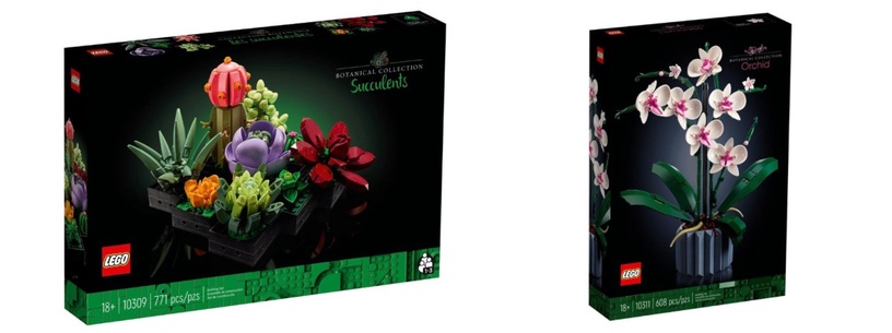 植物也能用拼的!LEGO推出「多肉植物、蘭花、向日葵」樂高組,質感滿分超療癒!