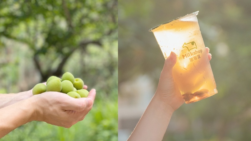 迷客夏「阿文鮮梅綠」回來了!