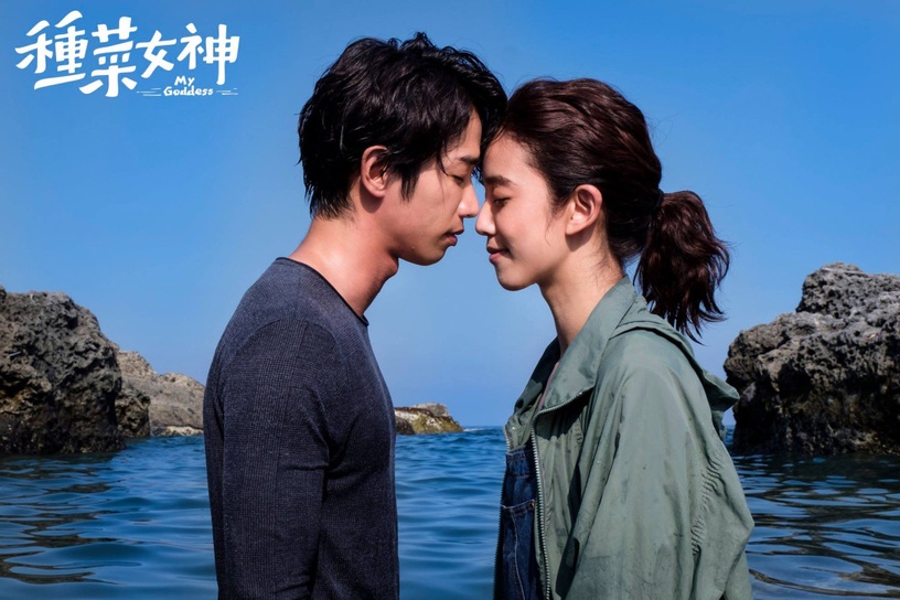 網議「劇名不吸引人但好看台劇」!《命中注定我愛你》太俗?這部神劇被誤會是無腦劇!